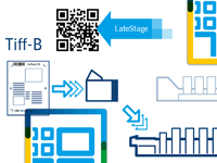 vid_LateStageMarks_Workflow.png