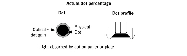 introduction00009.jpg
