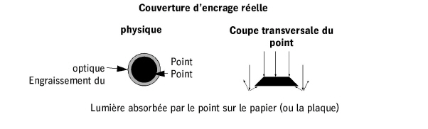 introduction00009.jpg