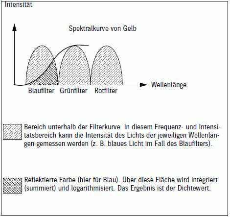 measure_graphic_2.png