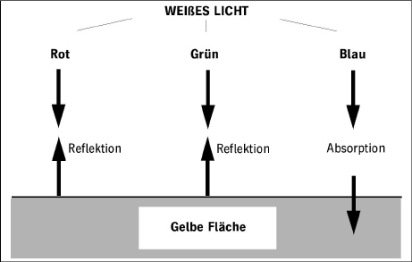 measuring00057.jpg