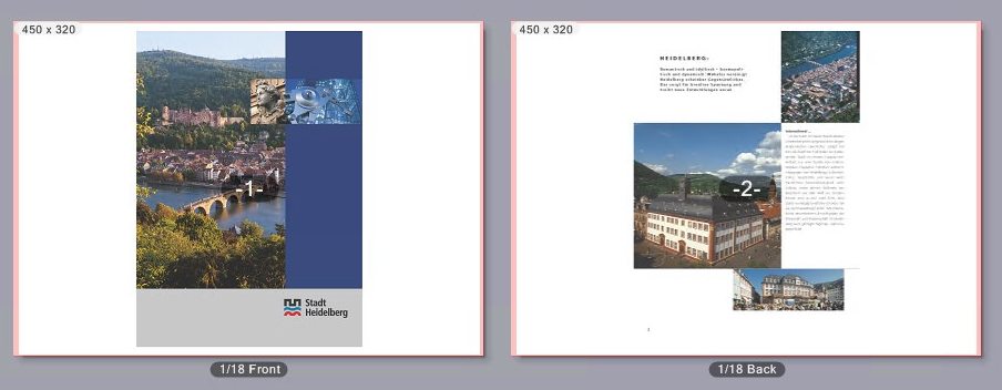 example_without_100734.png