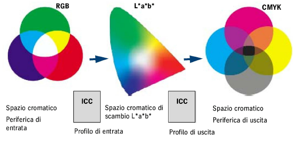 color_transformation.png