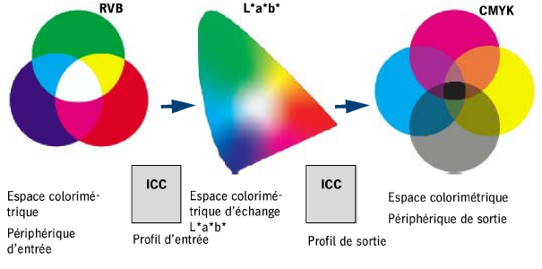 color_transformation.png