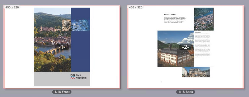 example_without_100824.png