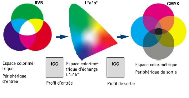 color_transformation.png
