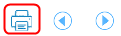 icon_print.png