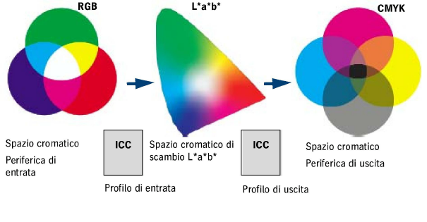 color_transformation.png