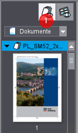 switch_pageprint