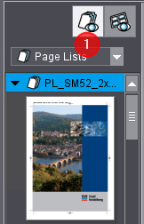 switch_pageprint
