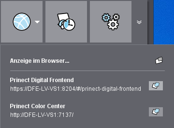 digiprint_terminal_browser