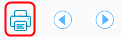 icon_print.png