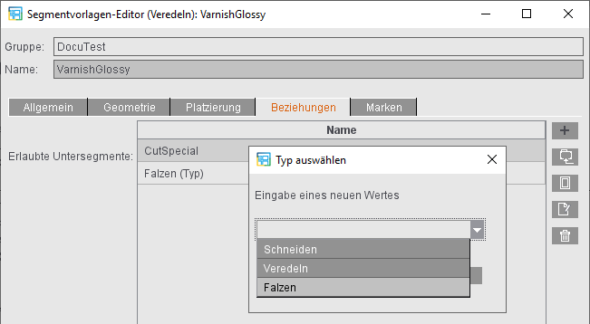 segmentvorlagen_editor_varnish_relations.png