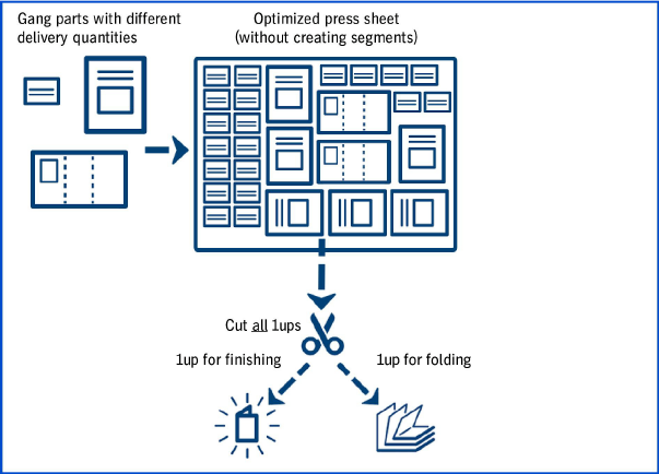 Segments_Overview1.png