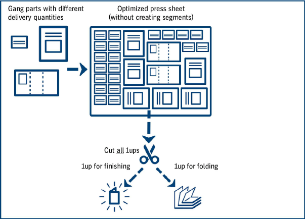 Segments_Overview1.png